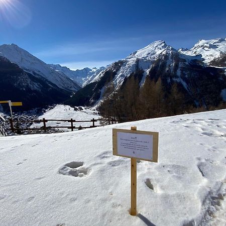 Hotel Belvedere Cogne Luaran gambar