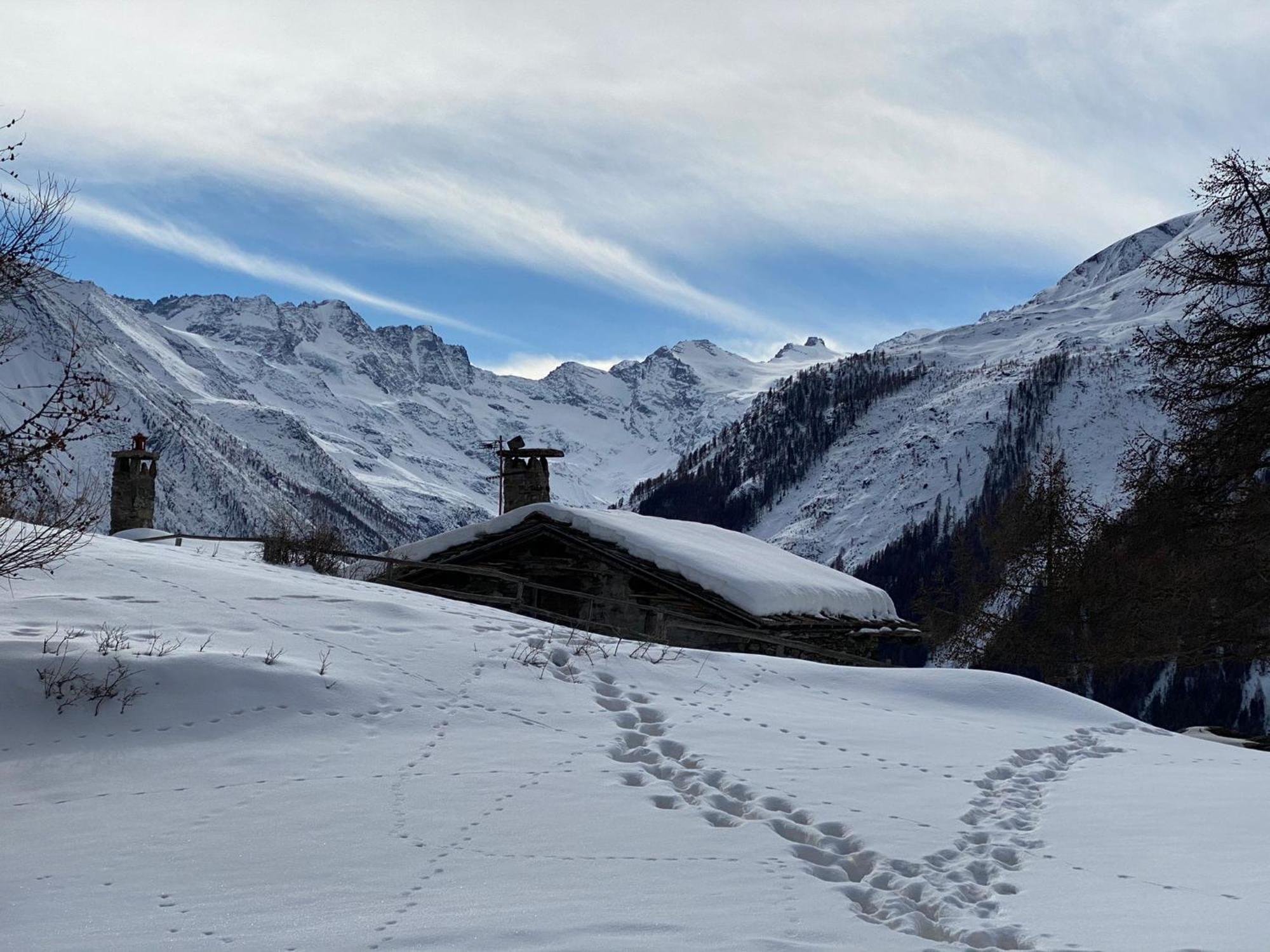 Hotel Belvedere Cogne Luaran gambar